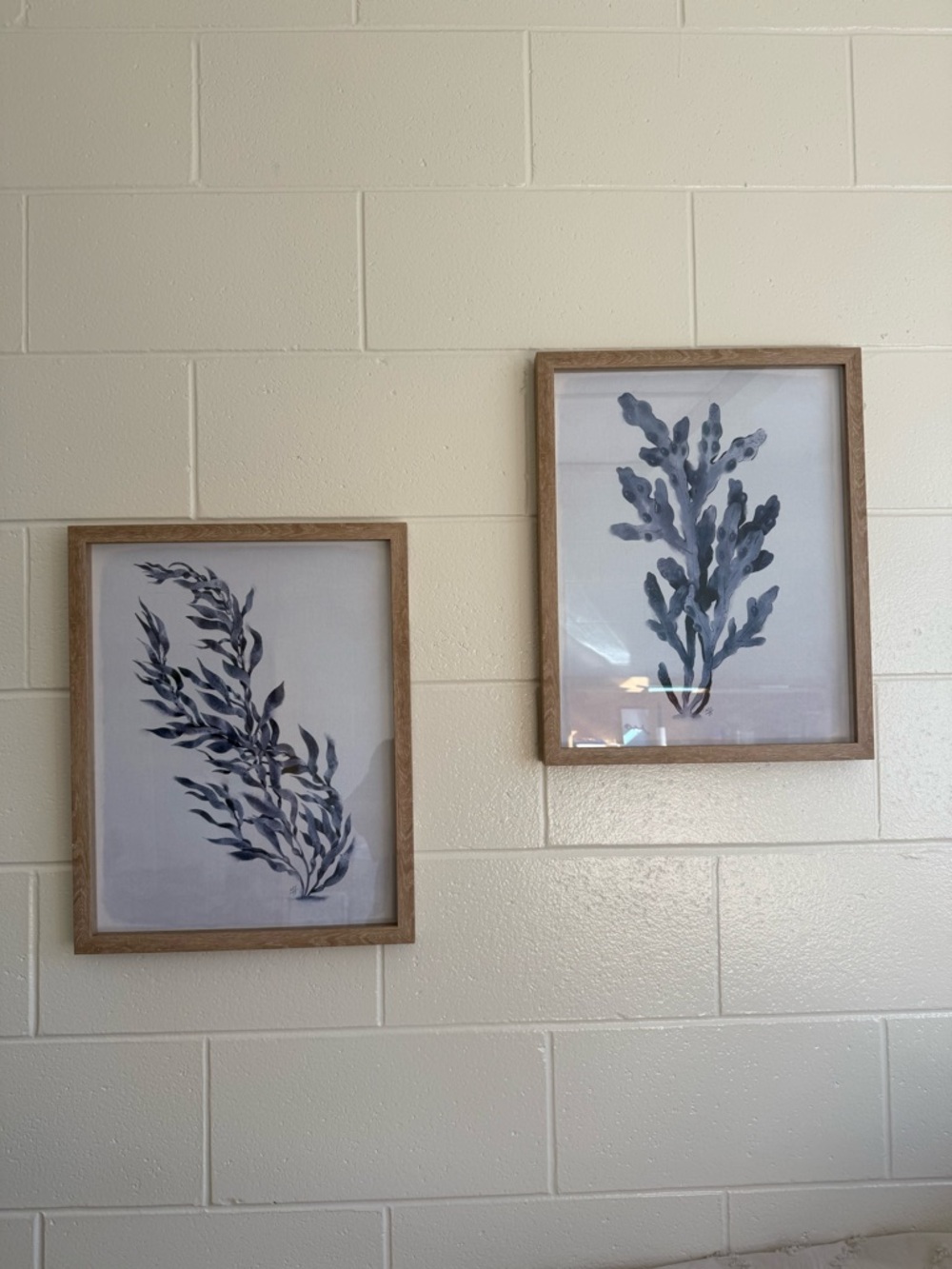 Set of 2 Blue Botanical Framed Prints